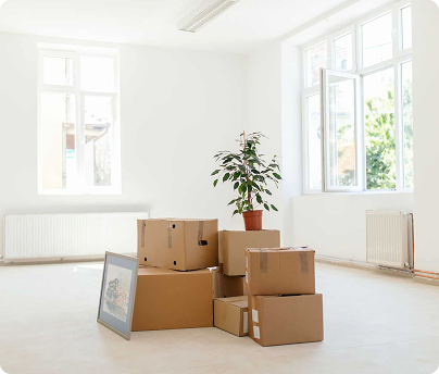 Move-In/Move-Out Cleaning